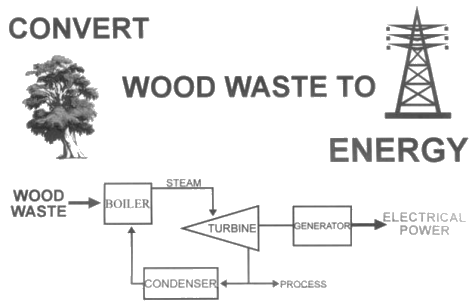 Cogeneration Facility